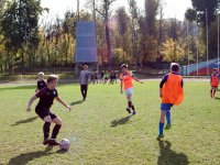 IMG_7886